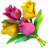 Bouquet & Gift
